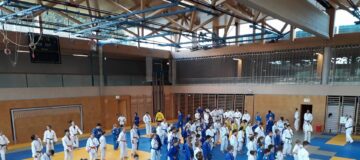 32958023_1733721300050061_2410090352342990848_n