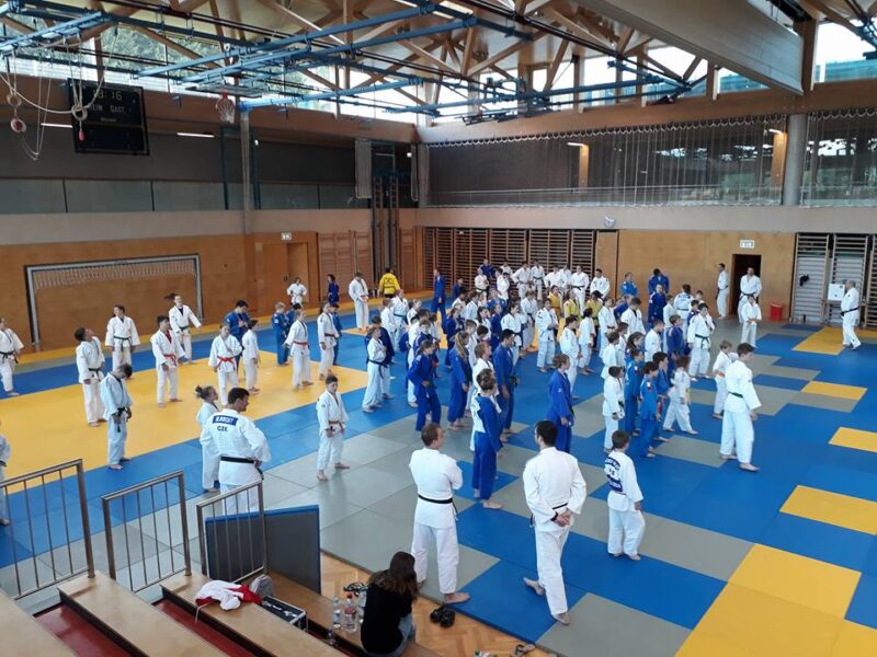 32958023_1733721300050061_2410090352342990848_n