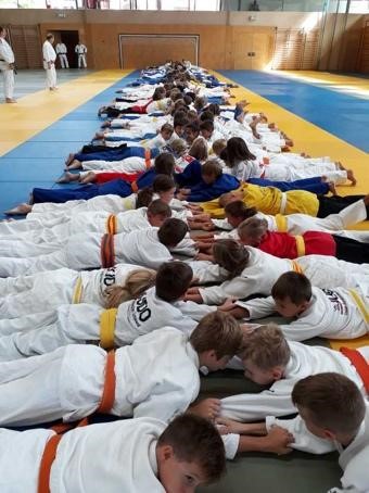 TL Sommer 2023 Beitragsbild